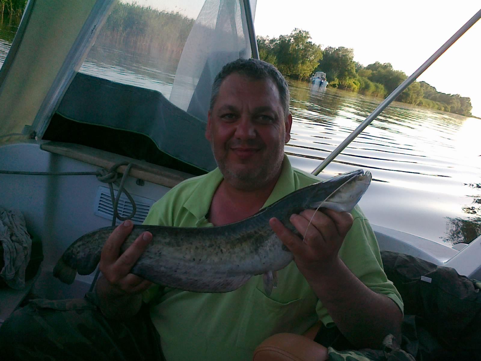 delta rosu 2008 - 160620111069.jpg